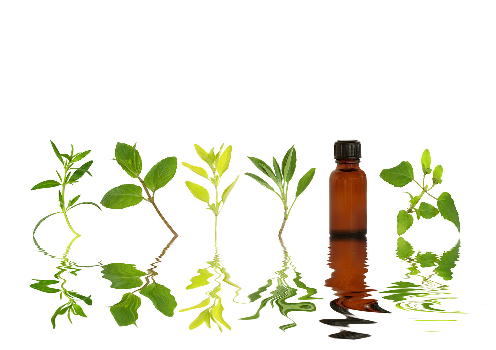 Ingredients for Tasty Skin Care
