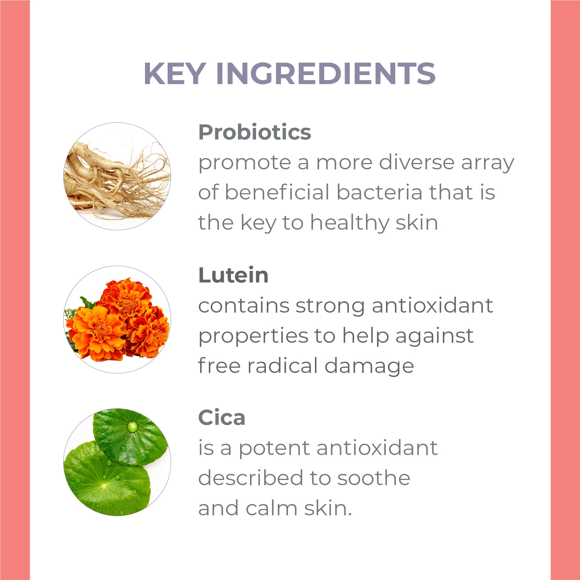 Key Ingredients: Probiotics, Lutein, and Cica