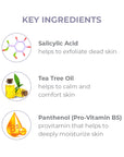 âKey Ingredientsâ featuring three ingredients with illustrations: Salicylic Acid (exfoliates dead skin), Tea Tree Oil (calms and comforts skin), and Panthenol/ProâVitamin B5 (deeply moisturizes skin).
