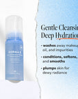 Hydrating Facial Alkaline Cloud Cleanser