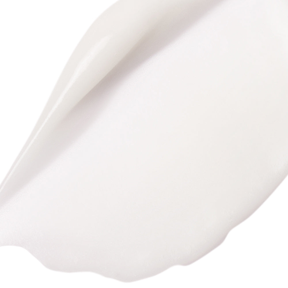 Close-up of a white ceramic plate with a subtle texture on a white background