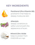 Key Ingredients list for Derma E Scar Cream Sun Protectant SPF 35. Description of Panthenol, Allantoin, and Mineral Zinc Oxide.