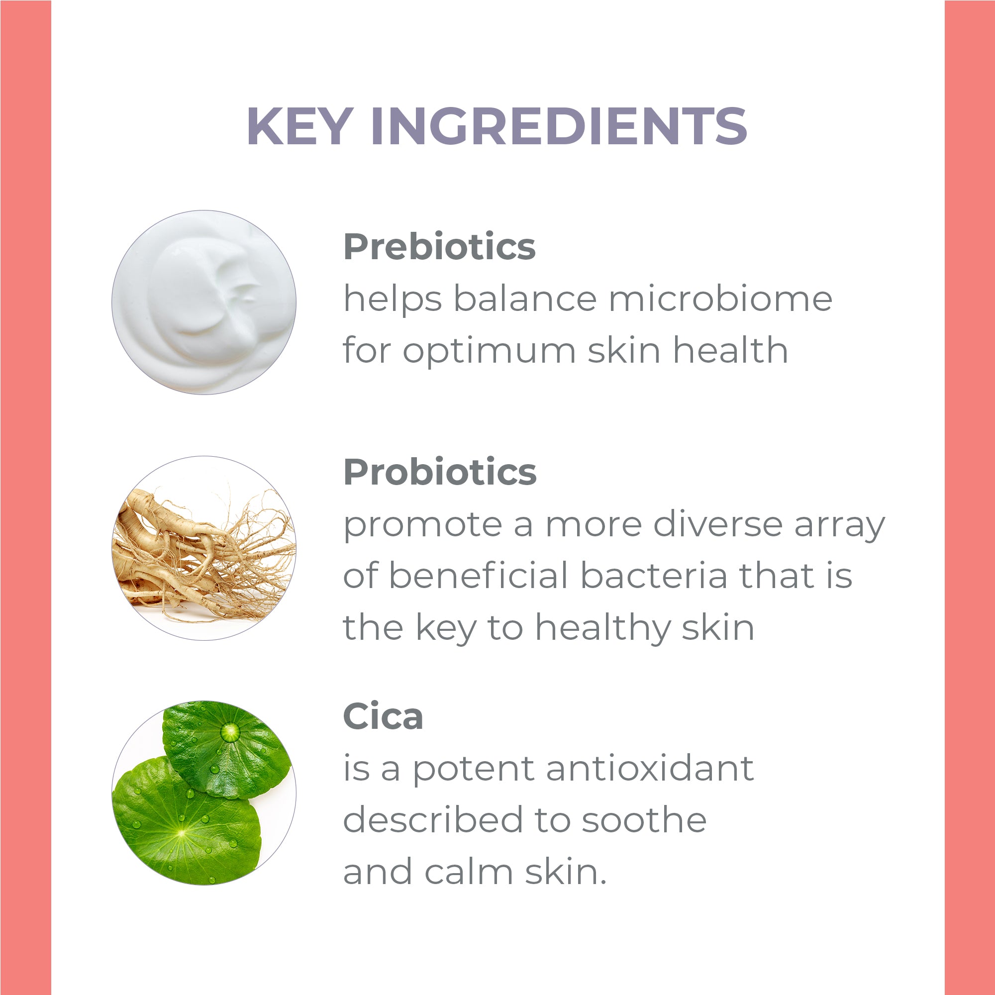 Key ingredients: Prebiotics, probiotics, and cica. 