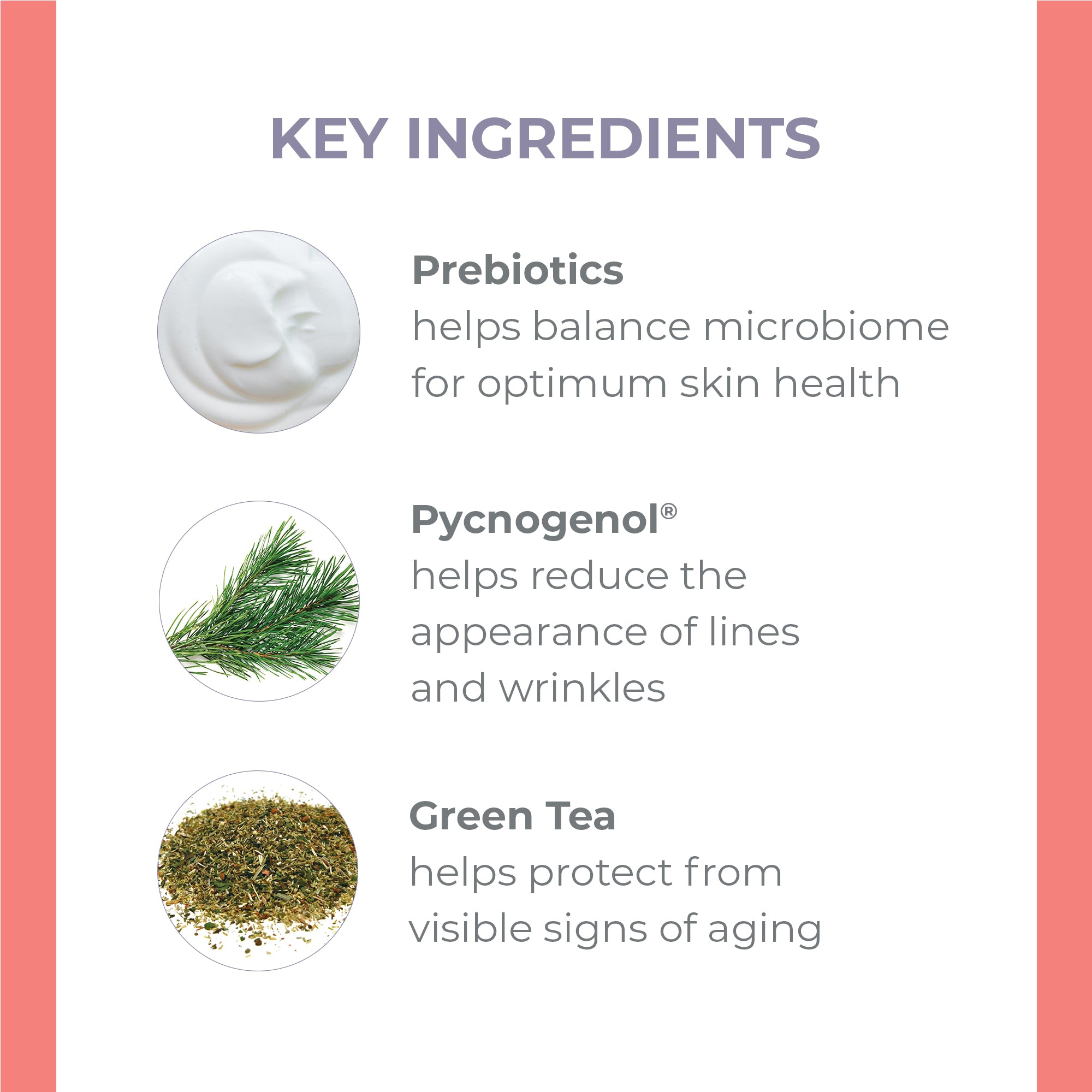 Key Ingredients: Prebiotic, Pycnogenol, and Green Tea
