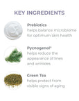 Key Ingredients: Prebiotic, Pycnogenol, and Green Tea