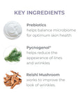 Key Ingredients: Prebiotics, Pyncogenol, Reishi Mushroom